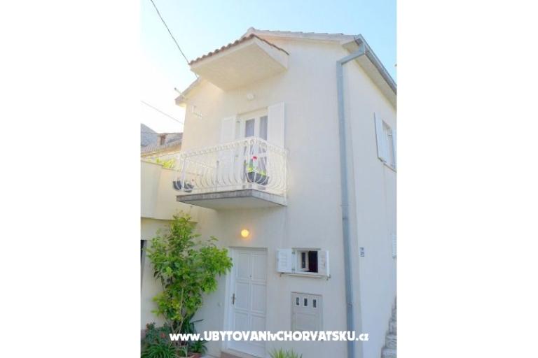 Zvijezda mora – foto 16