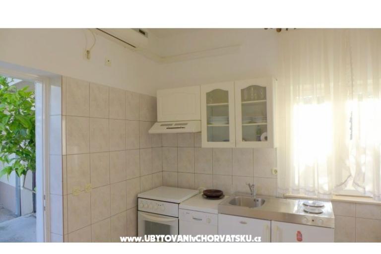 Zvijezda mora – foto 3