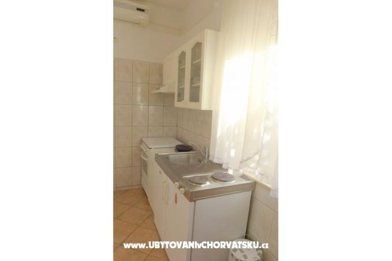 Zvijezda mora – foto 4