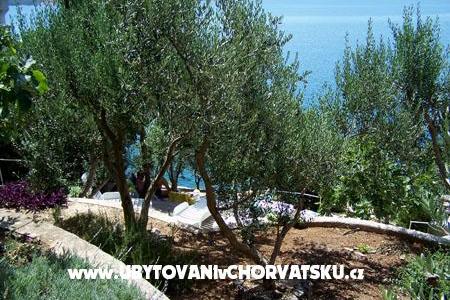 Apartmaji Mediterraneo – foto 11