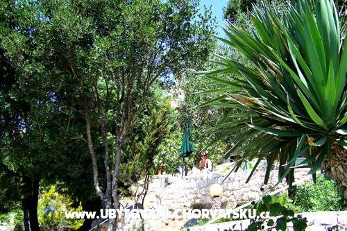 Apartmaji Mediterraneo – foto 13