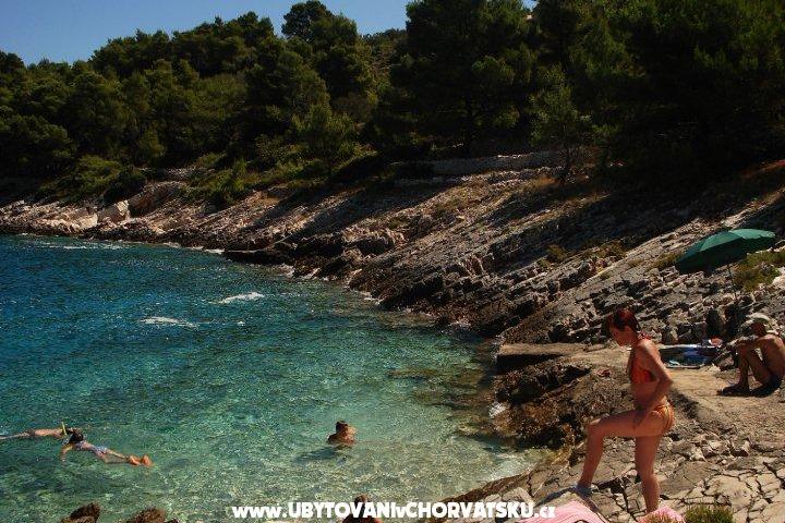 Apartma Kaurloto – foto 6