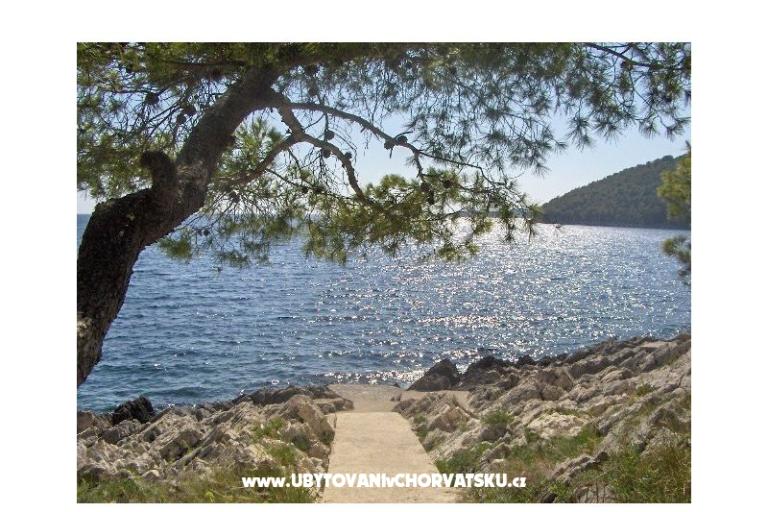 Apartmaji Ančila – foto 14