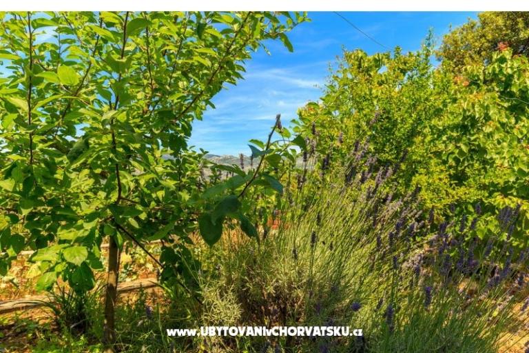 Apartmaji Kastelan – foto 6