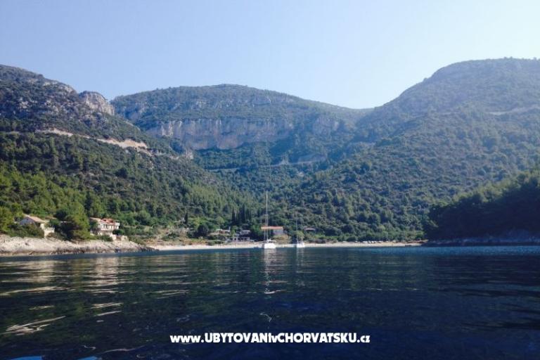 Apartmaji Šain – foto 16
