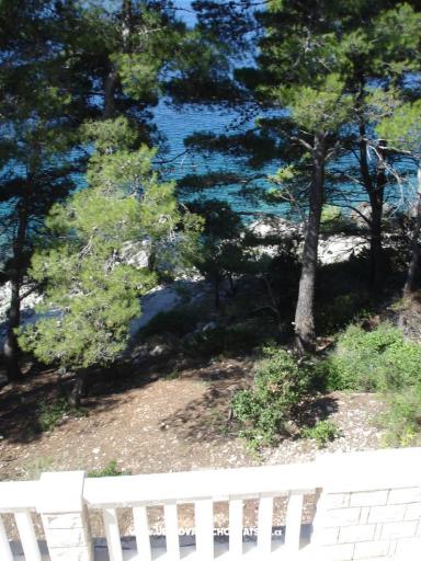 Apartmaji Tomasic – foto 7