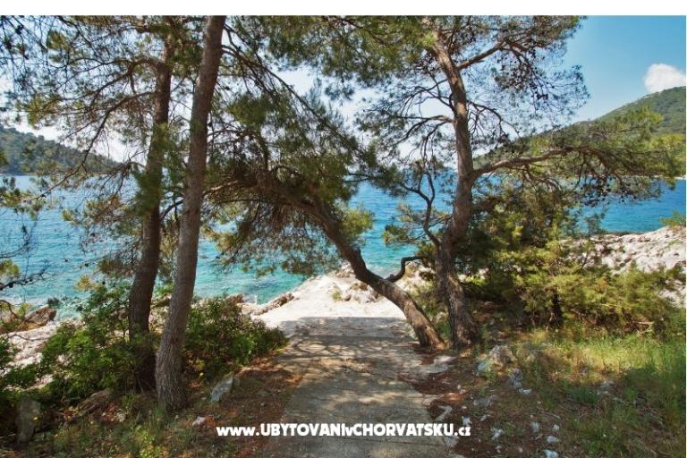 Apartmaji Marica P. – foto 6