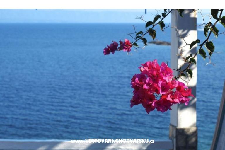 Počitniški dom Dorjan – foto 6
