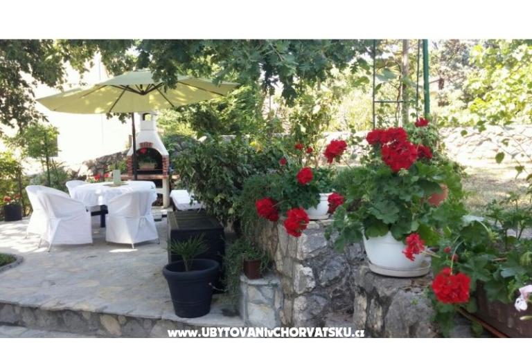 Apartma Sever – foto 11