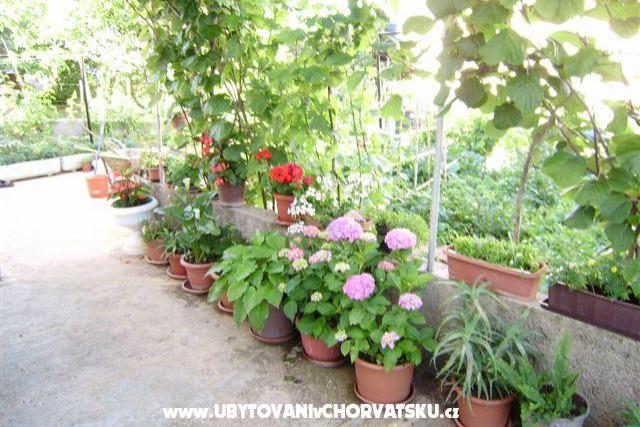 Apartaments Samanic – foto 7