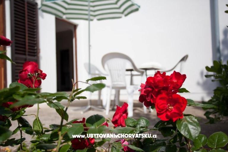Apartma Baska – foto 2