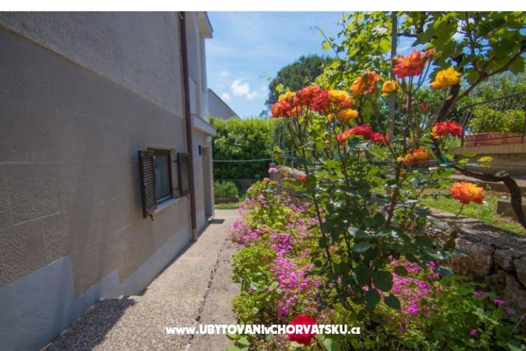 Apartma Neda – foto 12