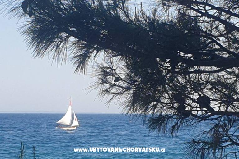 Apartmaji Blažević – foto 19