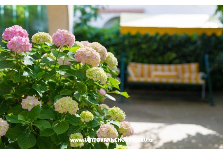 Apartmaji Blažević – foto 8