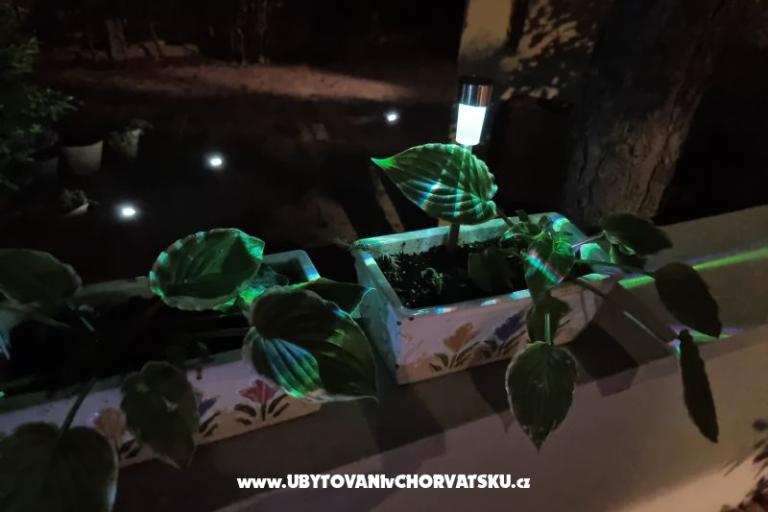 Apartmaji Casia – foto 16