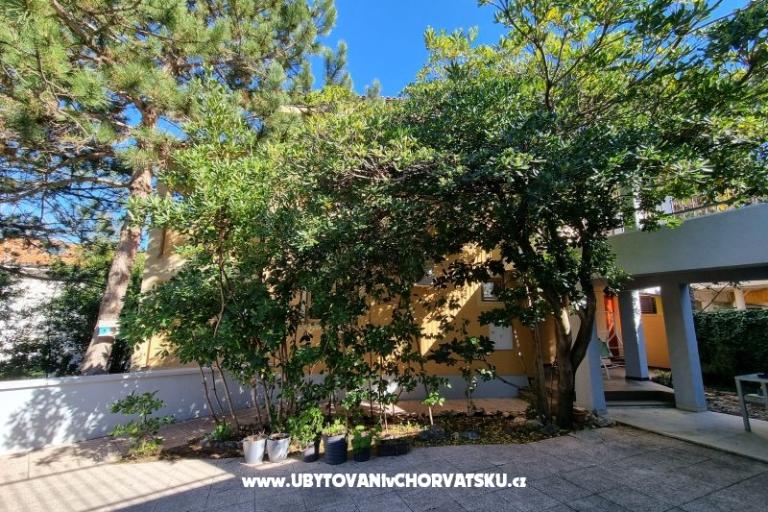 Apartmaji Casia – foto 6