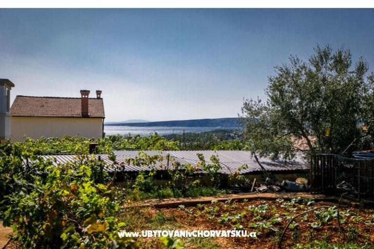 Apartma Dobrijević – foto 16
