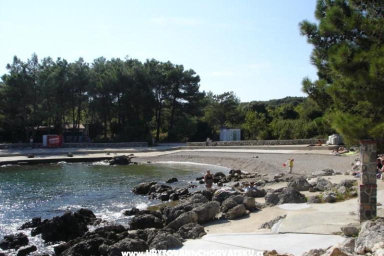 Apartmaji Grzalja-Rozic Krk – foto 4