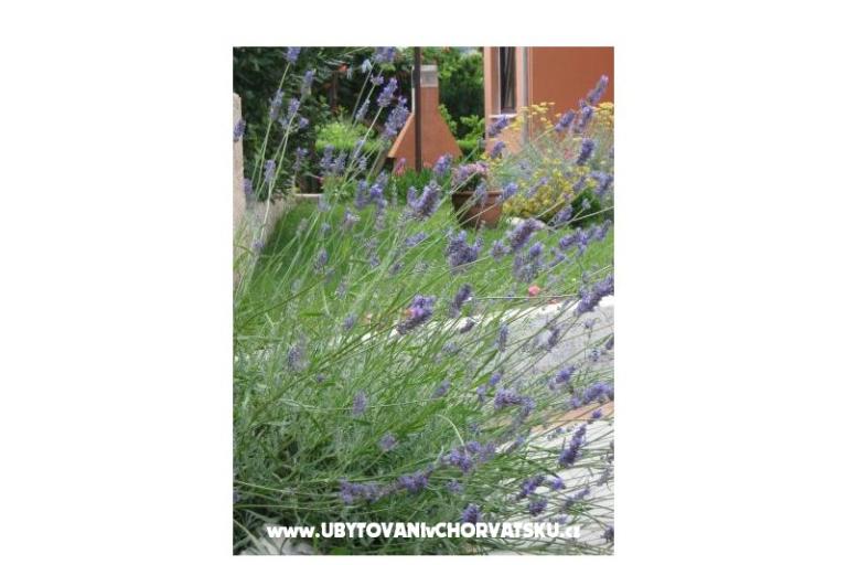 Apartmaji Iva&amp;Ivan – foto 4