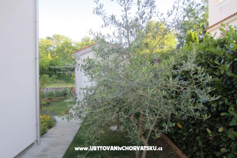 Apartmaji Klarić – foto 15