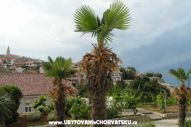 Apartmaji Maja – foto 6