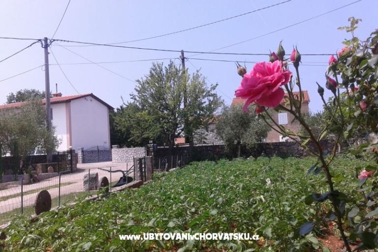Apartmaji Marica – foto 2