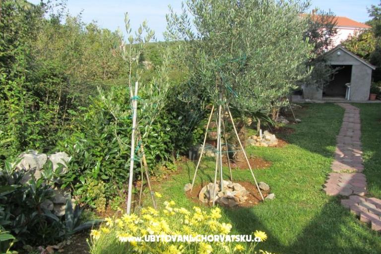Apartmaji Perišić – foto 14
