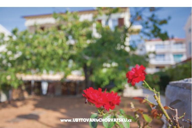 Apartmaji Sindičić – foto 16