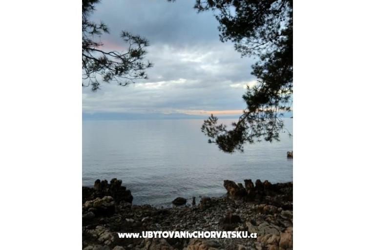Apartmaji Topol – foto 15