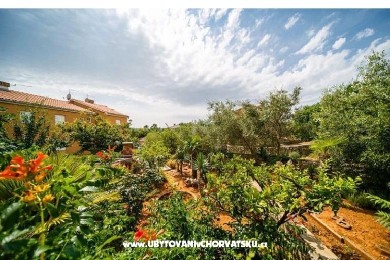 Apartmaji Božena – foto 18