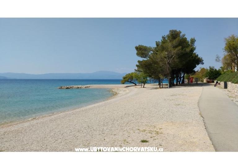 Apartma Elis – foto 9