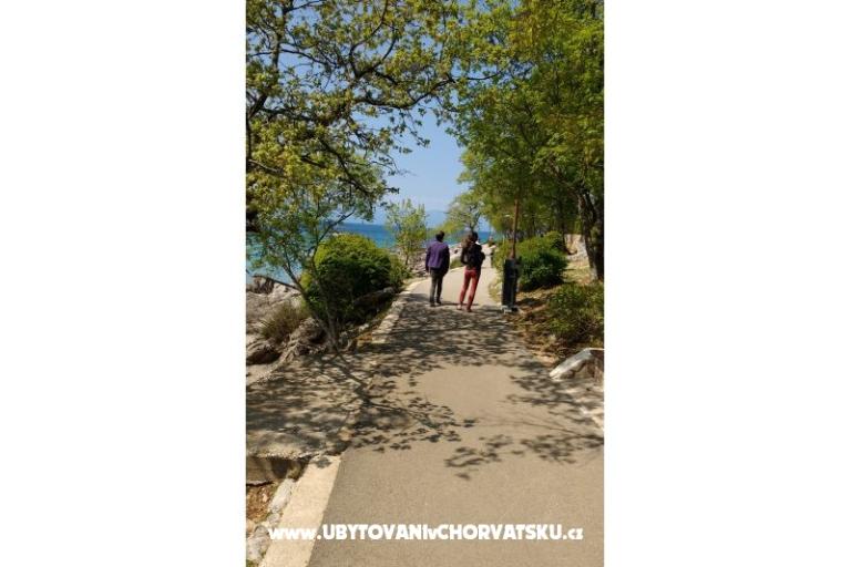 Apartma Elis – foto 13