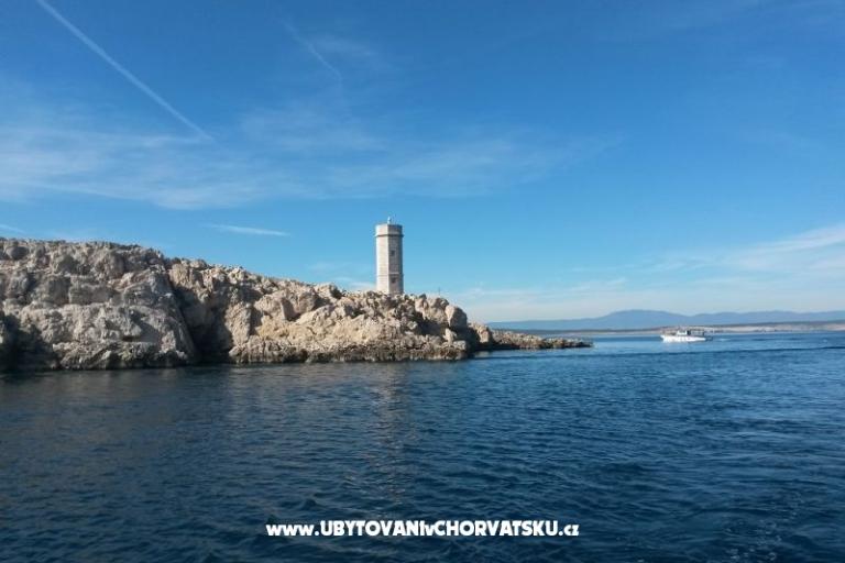 Apartmaji Vila Maslina – foto 16