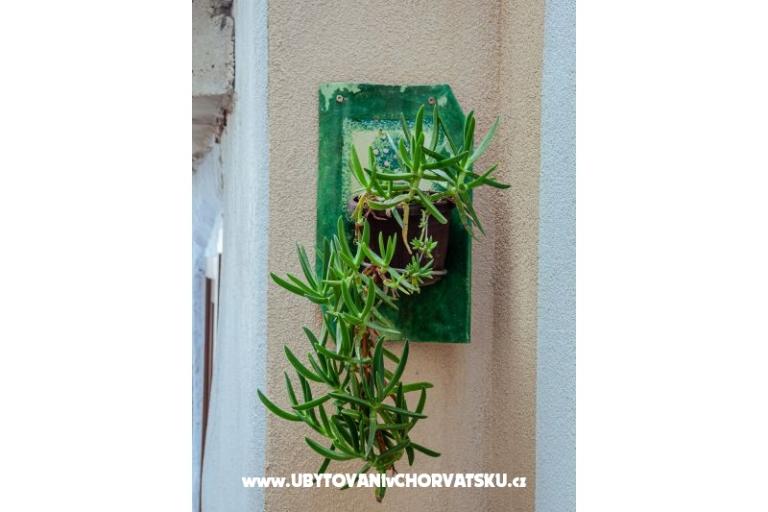 Apartmaji Funtana  – foto 10