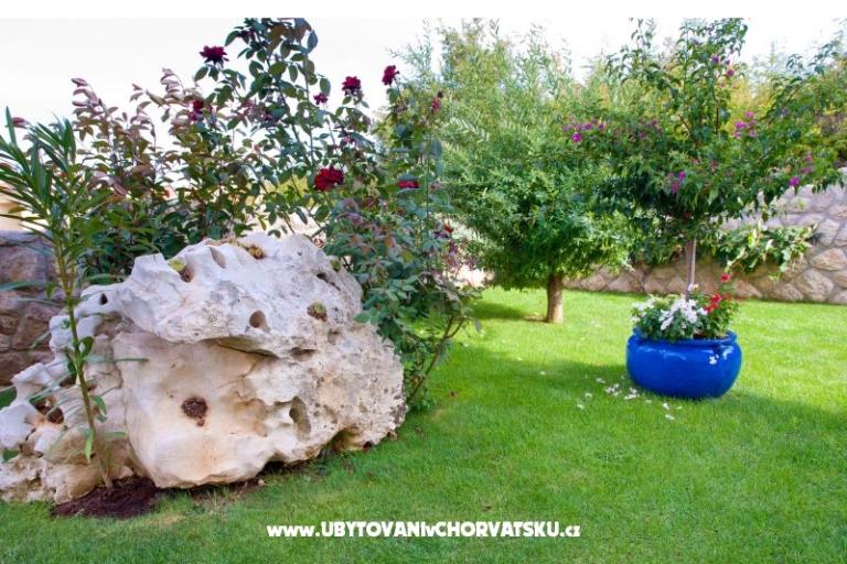 Lucia Apartmaji – foto 8