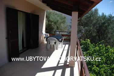 Apartmaji Kornic – foto 7