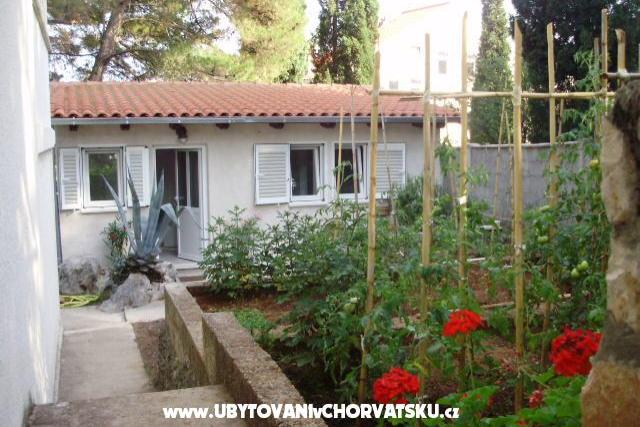 Apartma Anci – foto 2