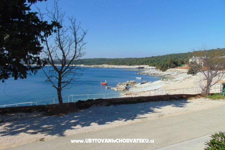 Apartma Rajka – foto 3