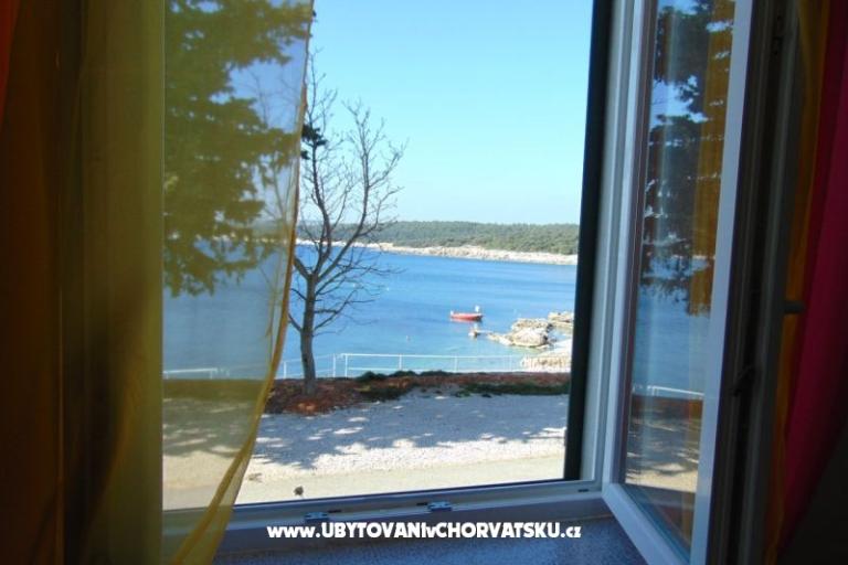 Apartma Rajka – foto 5