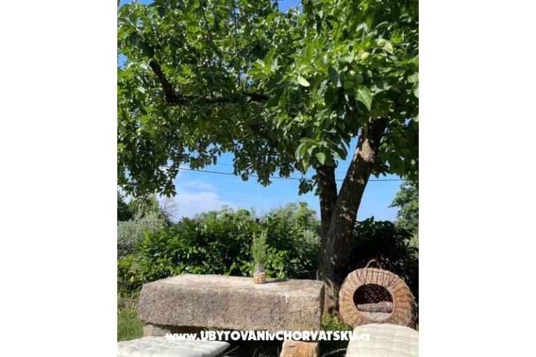 Počitniški dom Bepina – foto 24