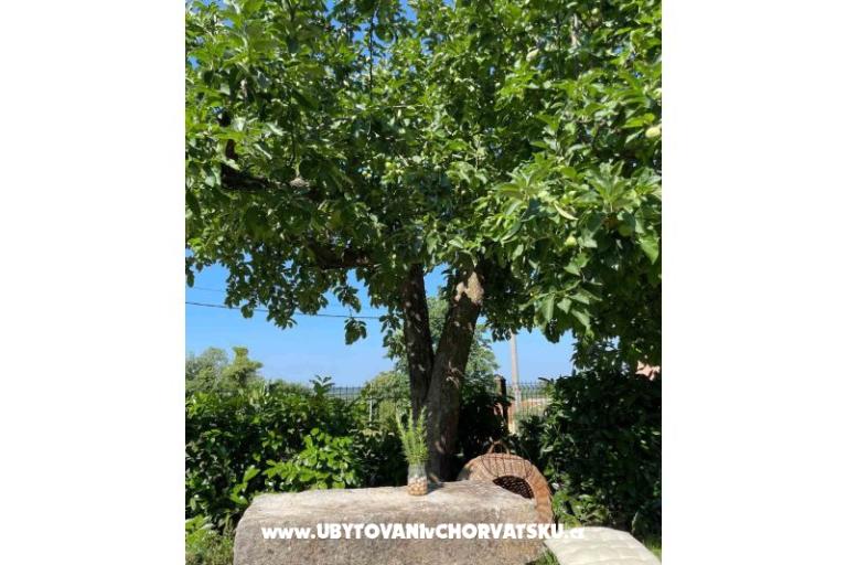 Počitniški dom Bepina – foto 27
