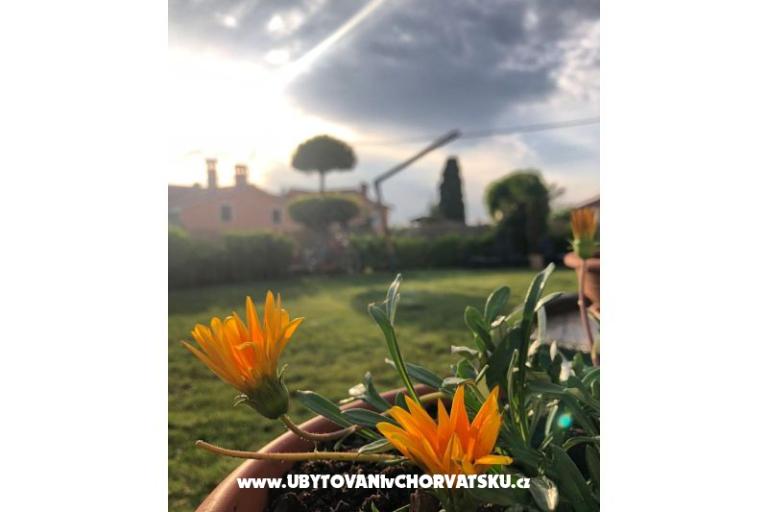 Počitniški dom Bepina – foto 29