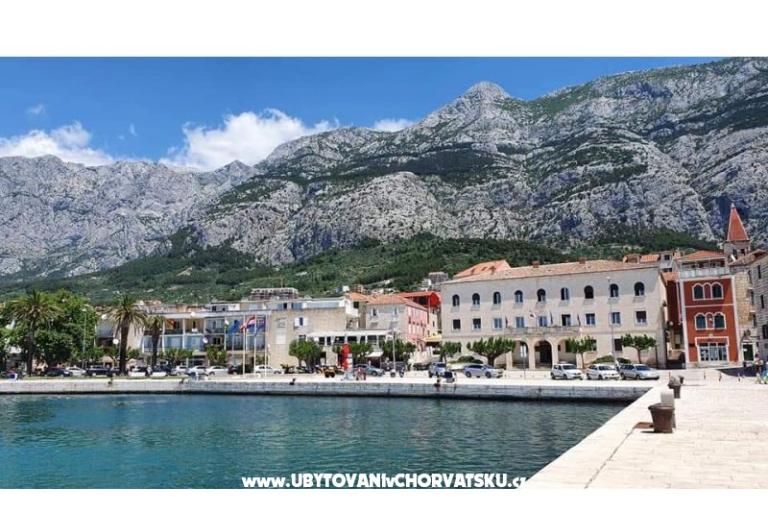 Apartma Andrijašević – foto 17