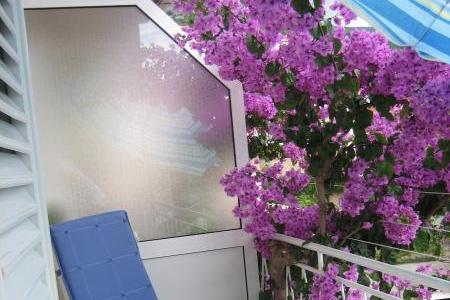 Apartma Bojana – foto 2