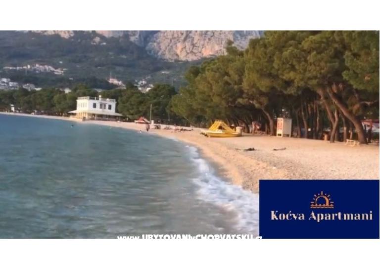 Apartma Koćva – foto 12