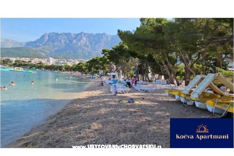 Apartma Koćva – foto 16