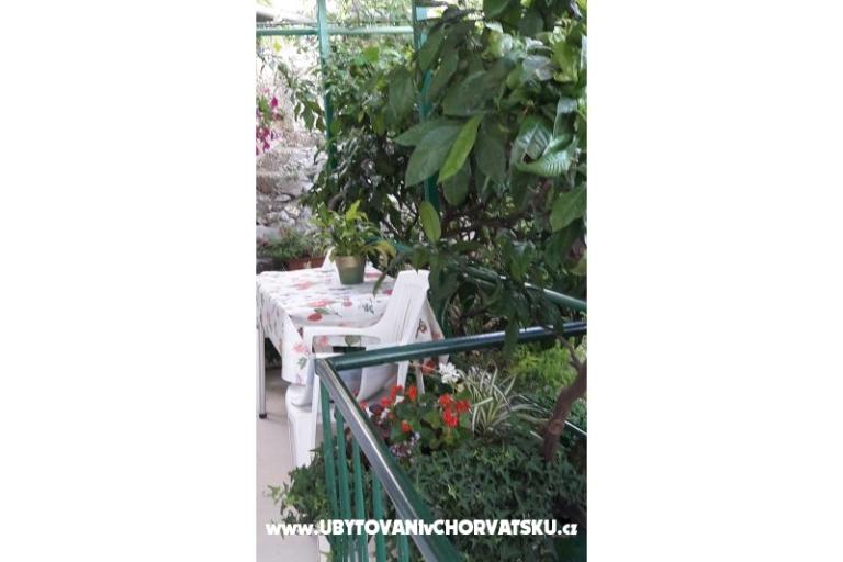Apartma Olga – foto 11