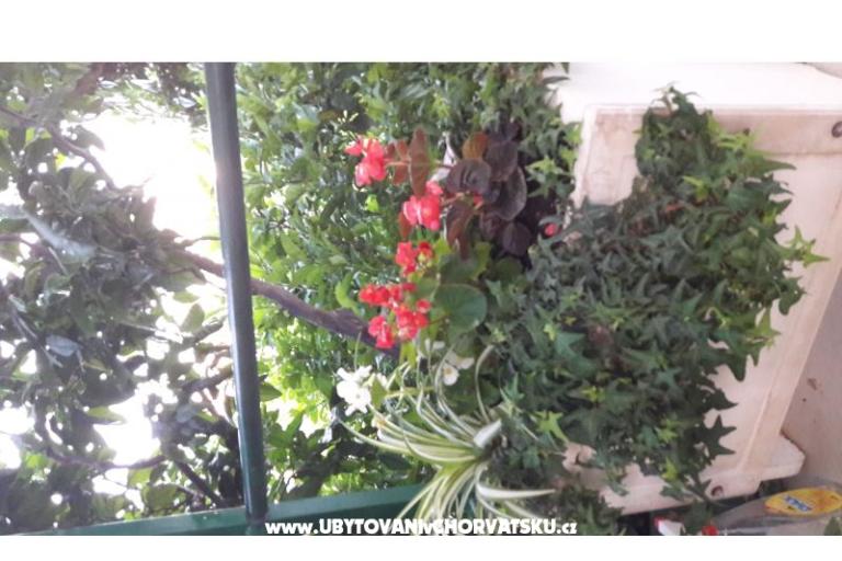 Apartma Olga – foto 9