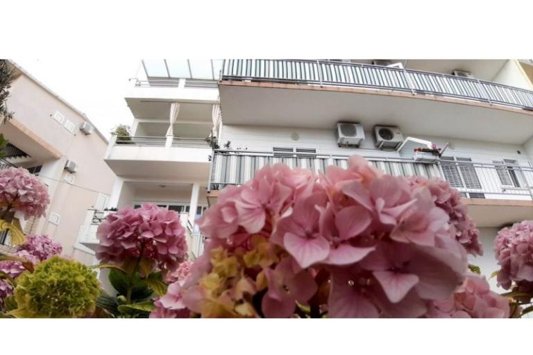 Apartmaji Antunović – foto 7