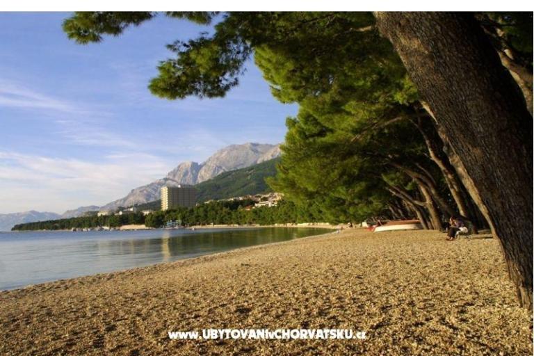 Apartmaji IVO – foto 3